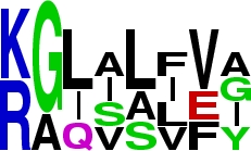 FLA Logo